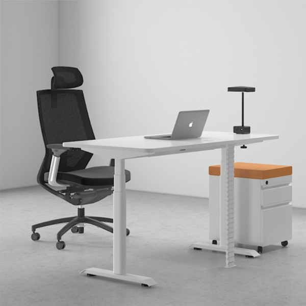 Sit Stand Executive Desk